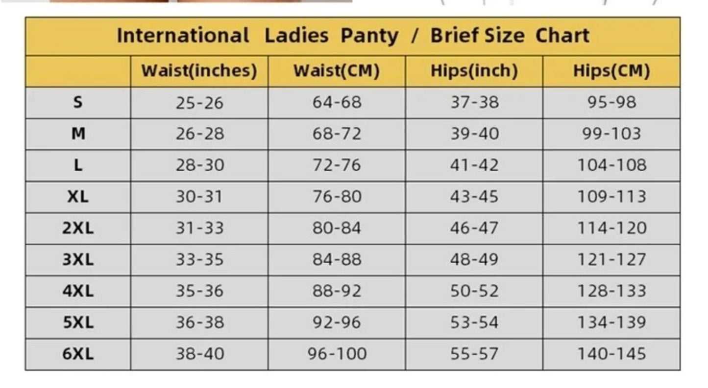 Sheree- the High Waist Retro Panties Plus Sizes 3 Colors