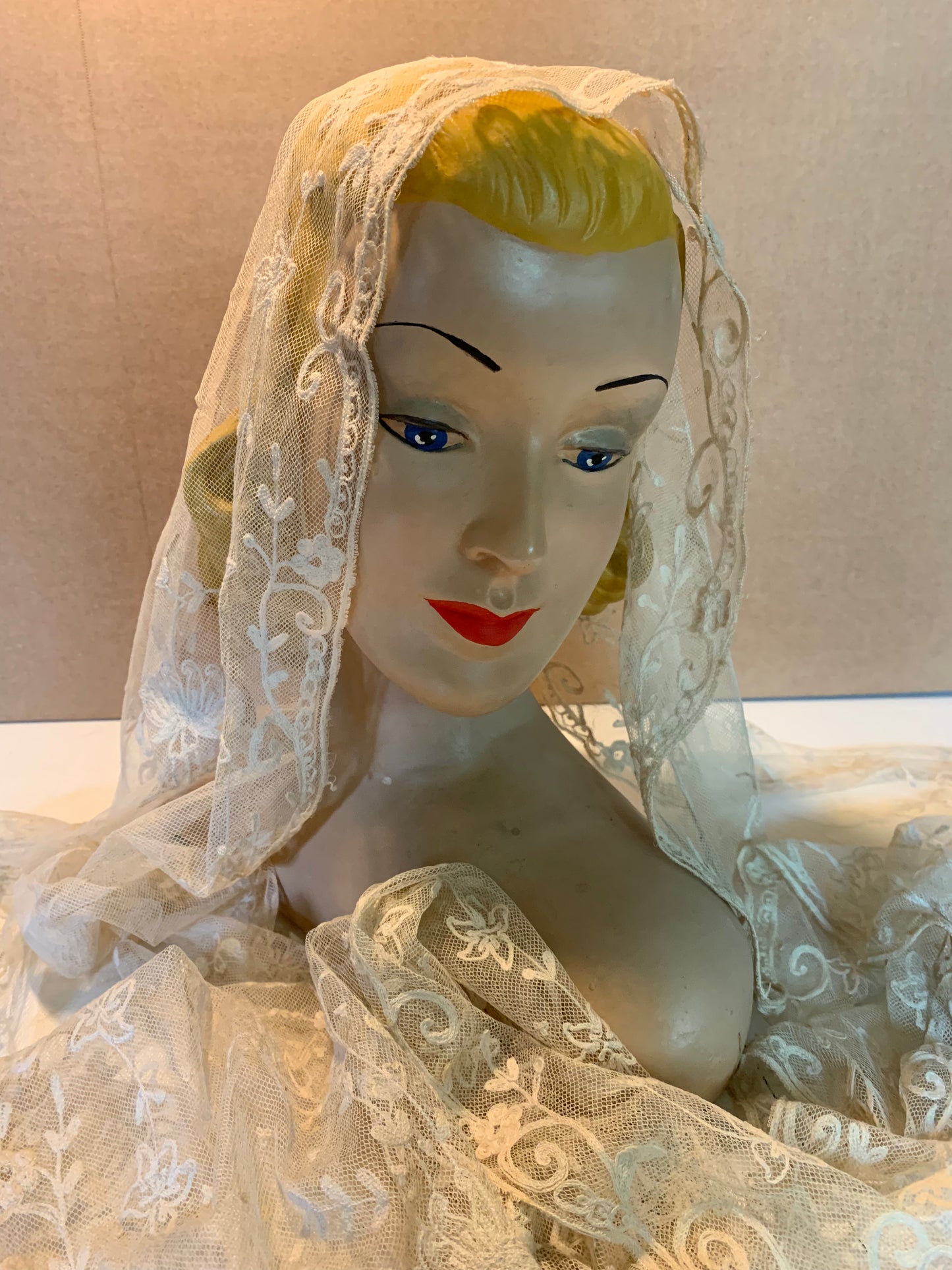 Soft Ivory Embroidered Mesh Lace Shawl or Head Piece circa 1800s
