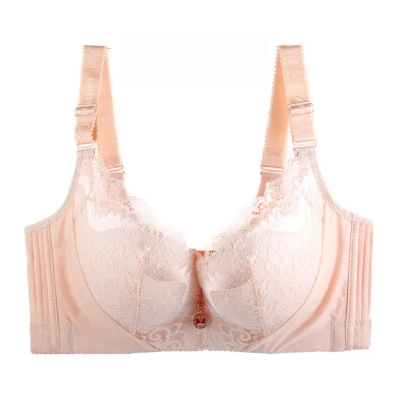 Raquel- the Lace Cup Plus Size Pin Up Bra 3 Colors