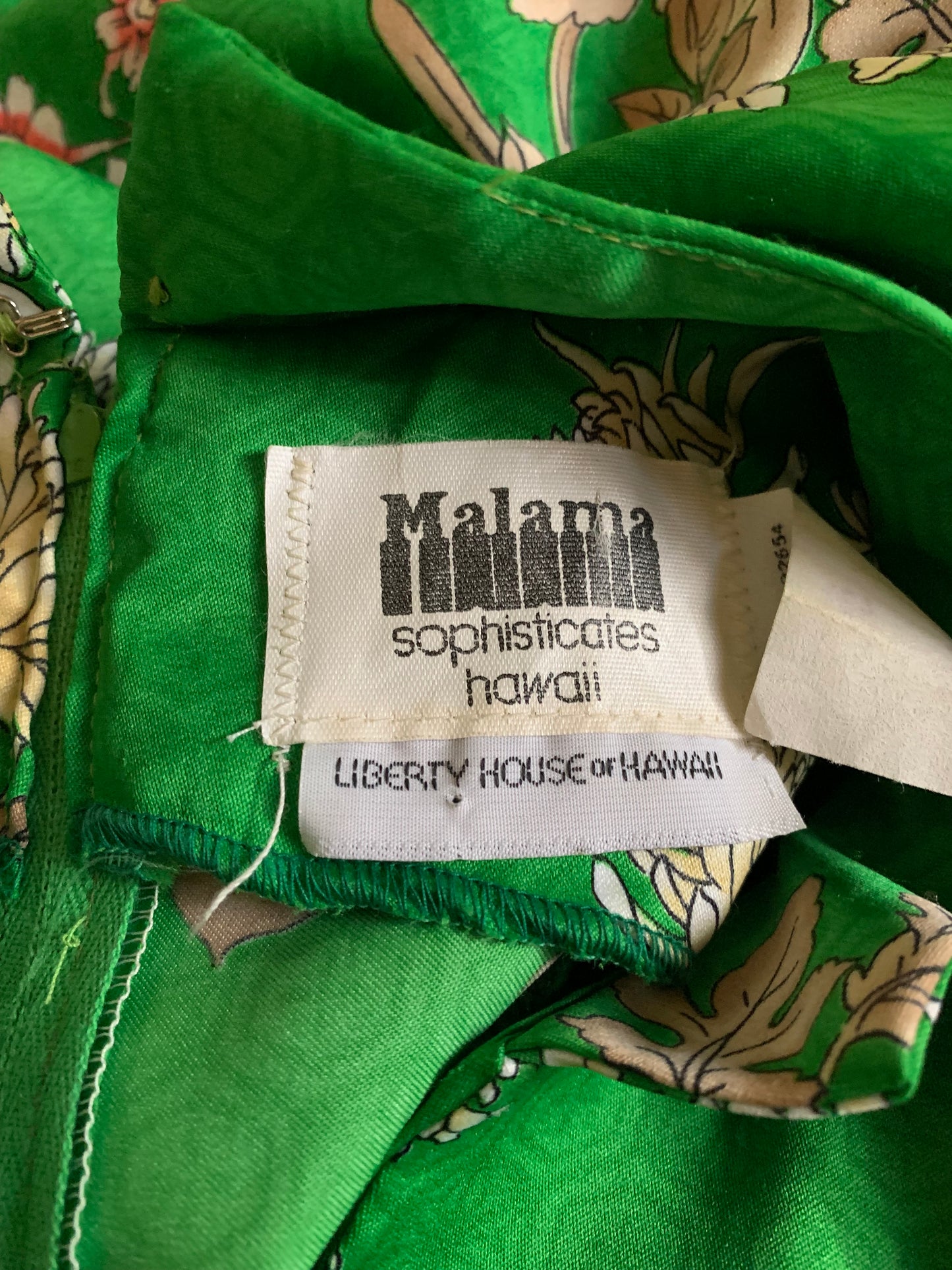Dahlia Print Asian Inspired Green Sleeveless Maxi Dress circa 1970s