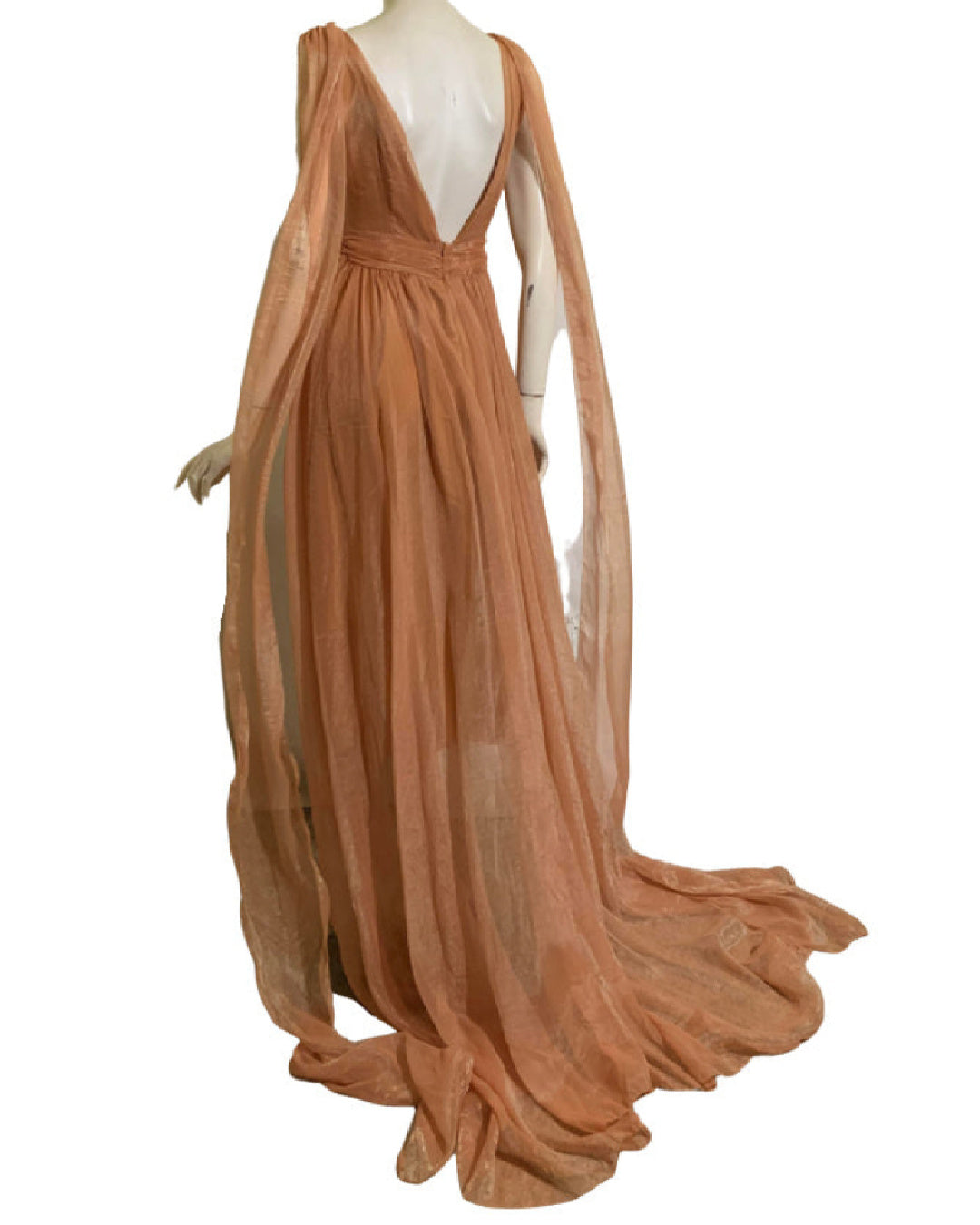 Parisa- the Gossamer Scarf Draped Sheer Sleeveless Gown 2 Colors