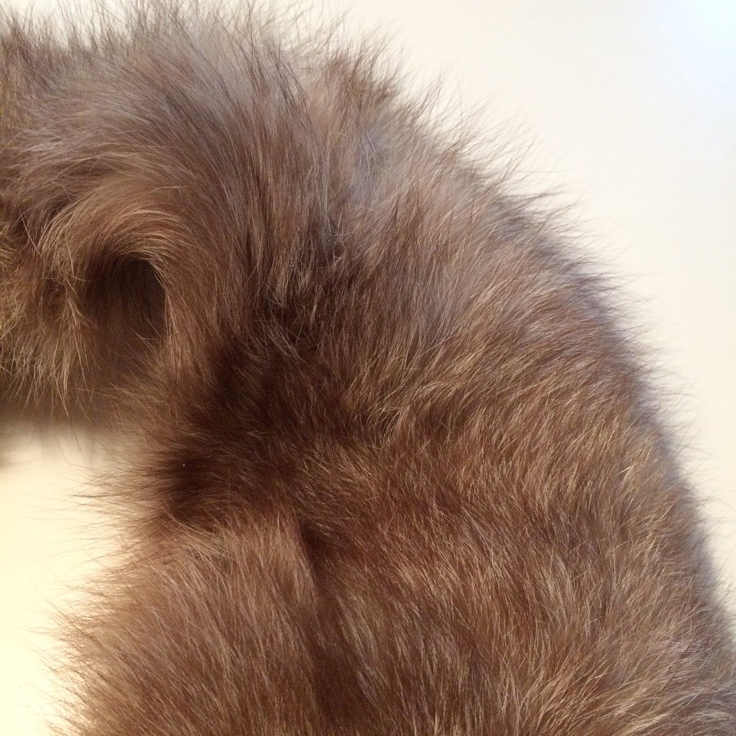 Silvery Tan Long Hair Fox Fur Collar circa 1960s