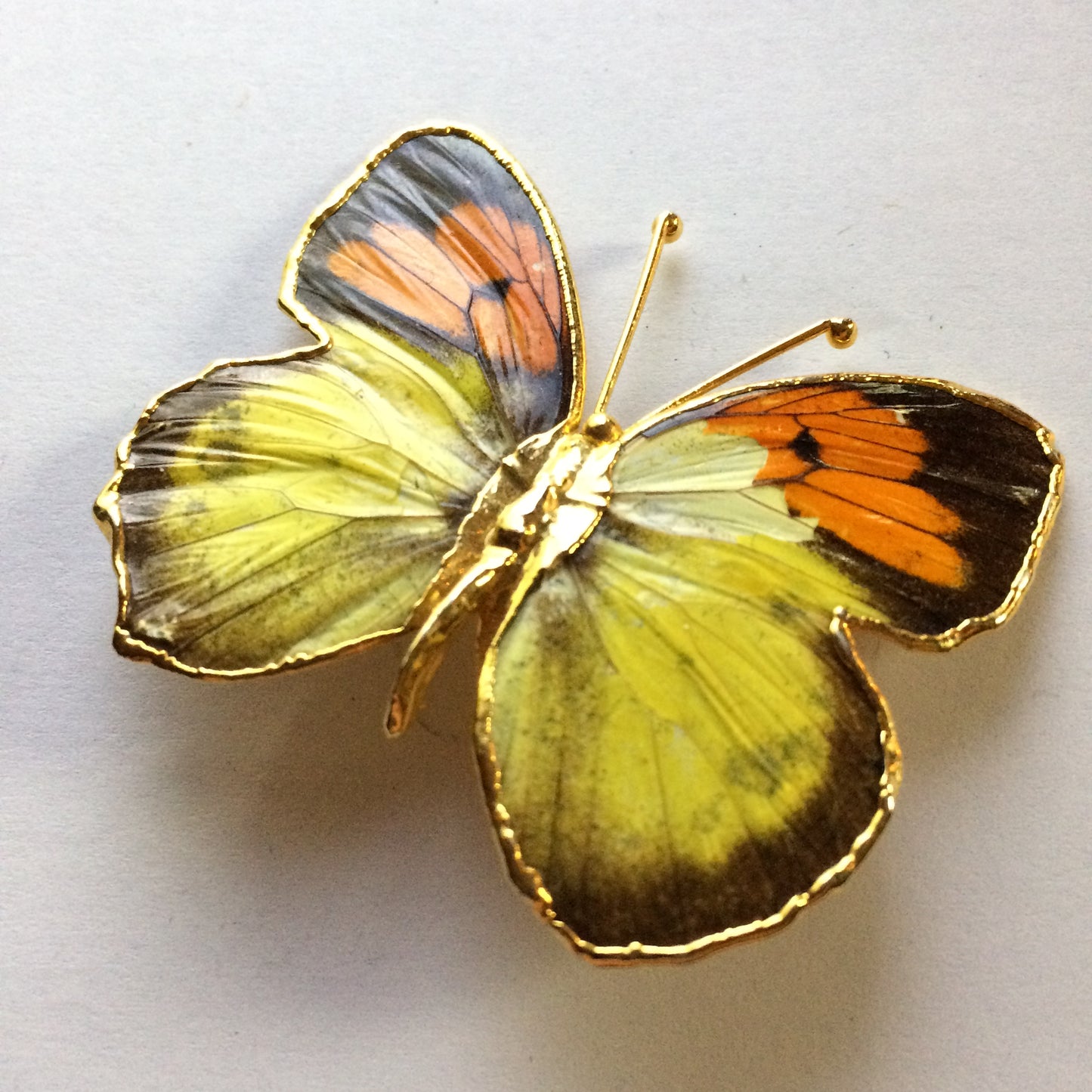 Blazing Orange and Yellow Gold Tone Butterfly Brooch circa 1970s