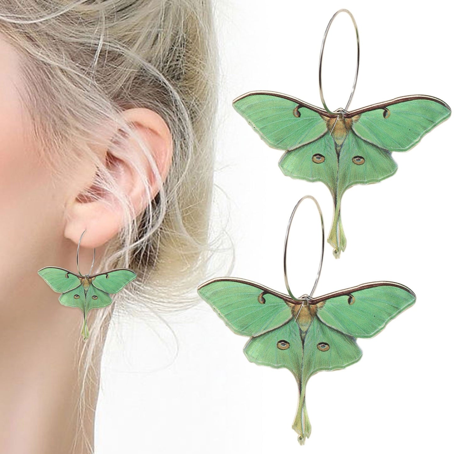 Luna- the Acrylic Moth Dangle Earrings